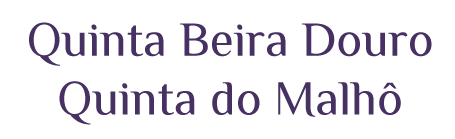 Quinta-Beira-Douro--Quinta-do-Malhô