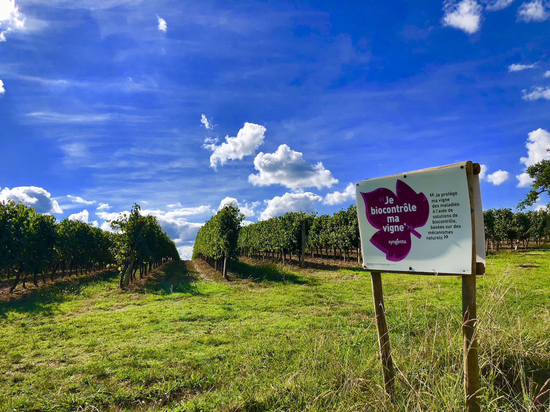 BIOCONTROLLED VINES